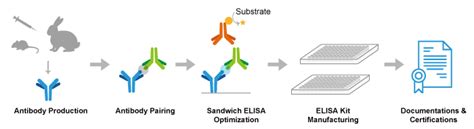 abnova cotinine elisa kit|Abnova™ Cotinine ELISA Kit .